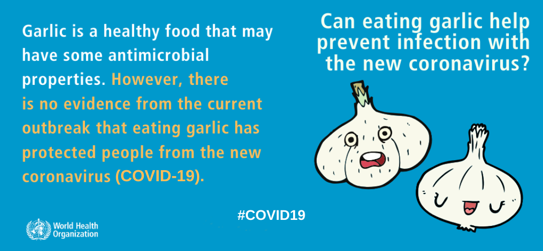 mythbuster garlic edited