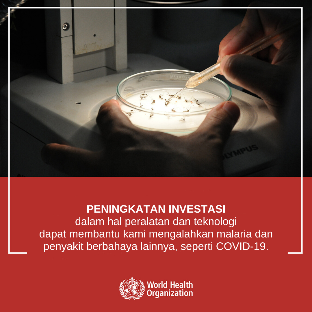 Stepped-up investments - BI